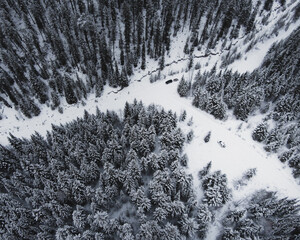 Drone shot of snow covered forest with intersecting roads