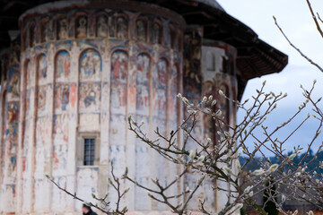 Landscape of a religious transilvanian romanian monastery built in a rustic style