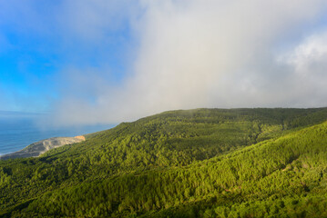 Naturschutzgebiet Serra da Boa Viagem am Cabo Mondego-Figueira da Foz, Portugal