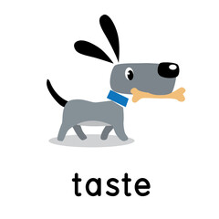 The dog carries a bone. Five senses. Taste