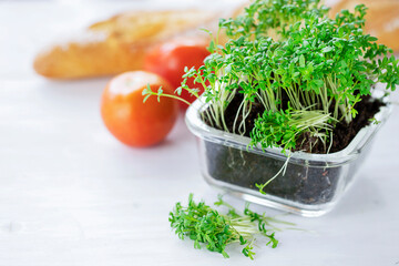 Super food micro greens cultivated in glass container