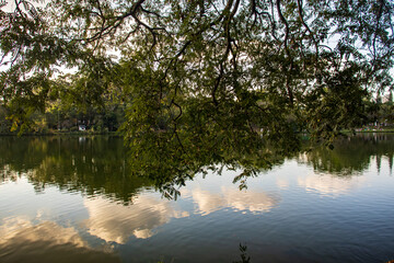 Área verde em São Paulo. 
Parque na capital de São Paulo.