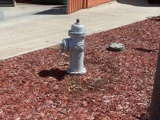 hydrant in the park
