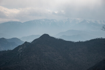 Naklejka premium forest and mountains in the fog