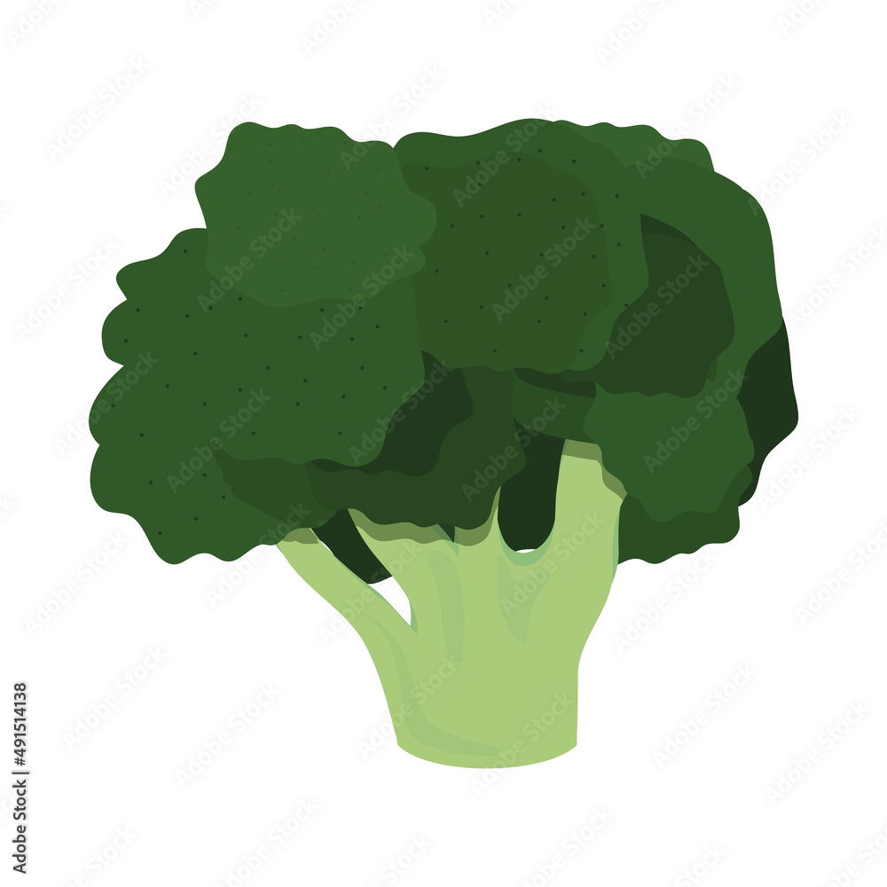 Poster broccoli vegetable icon