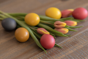 colored Easter eggs along with tulips lying on a wooden table