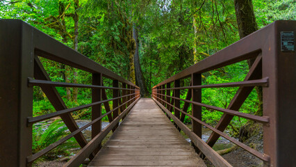 Obraz premium Olympic National Park Lake Crescent, Washington