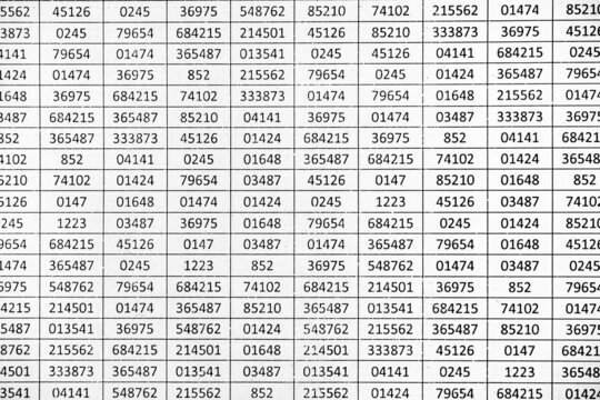 Random numbers on a spreadsheet in columns and rows
