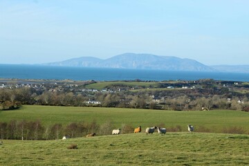 Landscape at north County Sligo, Ireland featuring sheep on hills of farmland pastures against backdrop of Donegal Bay with Slieve League mountain visible