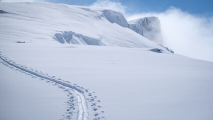 Ski touring tracks in powder snow on a beautiful winter day