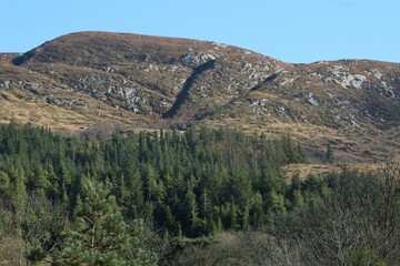 Close-up of landscape at Killery Mountain, County Sligo, Ireland 