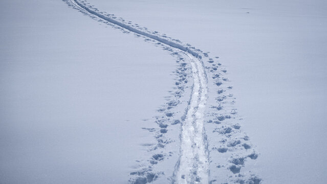 Ski touring tracks in powder snow on a beautiful winter day