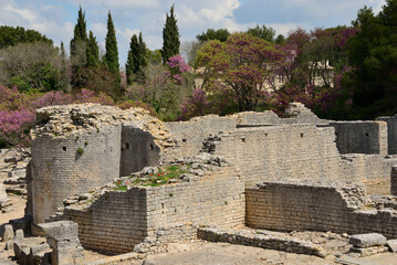 Ruines de la curie romaine de Glanum à Saint-Rémy-de-Provence, Bouches du Rhône