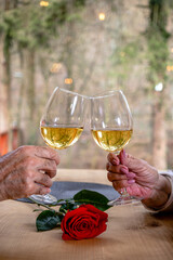 Hands of a mature romantic couple of caucasian man and woman, holding glasses with wine, toasting and clinking with them over a red rose.