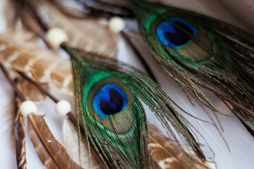 beautiful close-up of dreamcatcher from leathers with peacock eye