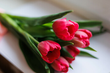Close up of Red Tulips bucket
