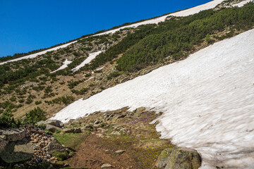 Landscape of Pirin Mountain near Popovo Lake, Bulgaria