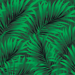 Palm. Seamless pattern with branches and leaves of tropical tree plant for print, web design, textile. Vector image. 