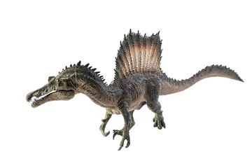 Rolgordijnen Dinosaurus Spinosaurus , dinosaur on white background .