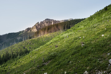 Starorobociańska Valley in the Western Tatra Mountains