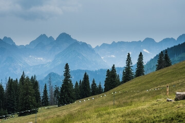 view of the High Tatras from the Rusinowa polana © Piotr