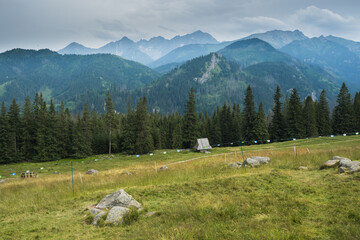 view of the High Tatras from the Rusinowa polana © Piotr
