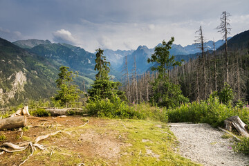 beautiful view of the Tatra Mountains from the trail