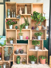 Wooden wall made of recycled boxes decorated with green plants in pots