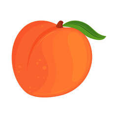 peach fruit icon