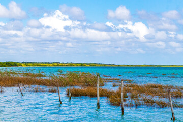 Fototapeta na wymiar Muyil Lagoon panorama view landscape nature turquoise water Mexico.