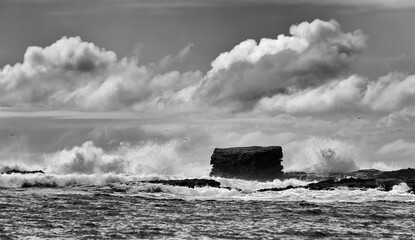 JB Bowen Island rock head BW