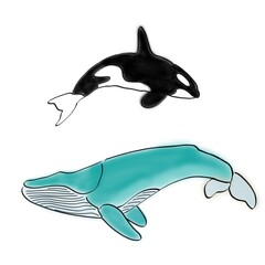Orca y ballena