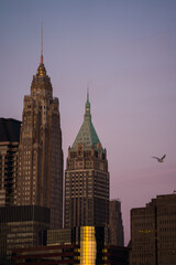 Fototapeta na wymiar Skyscrapers in NYC 