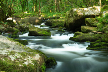 Golitha Falls,summertime rocks and flowing waters,Liskeard,Cornwall,England,UK