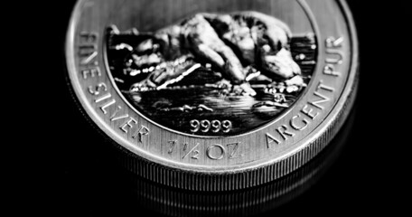 Close up of  Silver Bullion Coin on a black mirror background