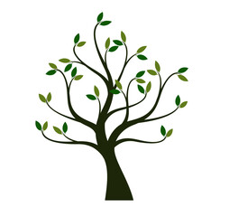 Colour Tree. Vector outline Illustration.