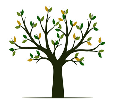 Colour Tree. Vector outline Illustration.