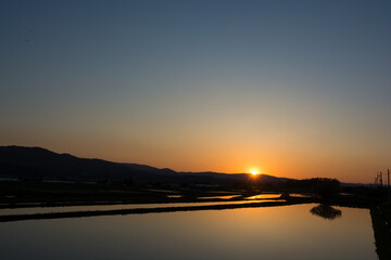 Obraz premium 夕日を反射する水田 