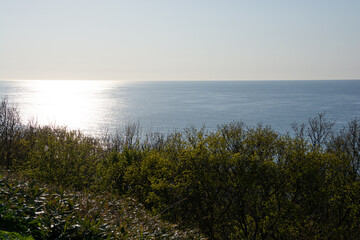 太陽の光を反射する静かな海
