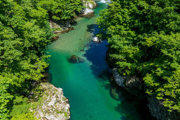 新緑の清流馬瀬川 高山市清見町