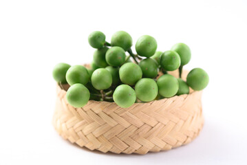 Pea eggplant or Turkey berry (Solanum torvum) on white background, Edible green fruits in Thai food curry or chili pastes