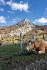 Views of the mountain Gazteluaitz and the surrounding area in the Basque Country (Spain)