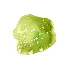 Abstract green watercolor stain, isolated. Watercolor hand drawn texture for backgrounds, cards, banner and flyers