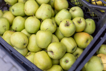 Cases of green apples to stay healthy and vigorous