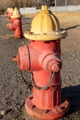 A line of obsolete red fire hydrants with yellow tops in front of a dog park.
