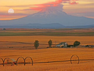 Mt Adams in Wa State - An image near Goldendale, Wa of the harvested wheat field with Mt Adams and the moon in background

