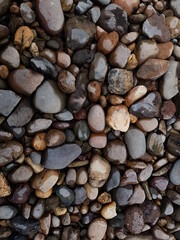 Coral texture for an industrial background