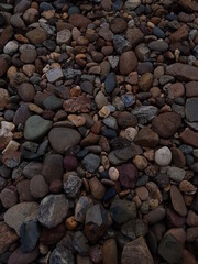 Coral texture for an industrial background