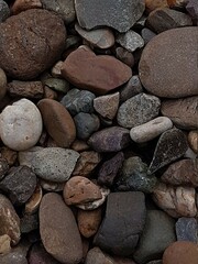 Coral texture for an industrial background