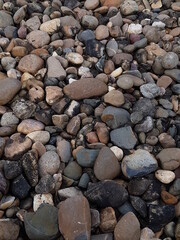 Coral texture for an industrial background